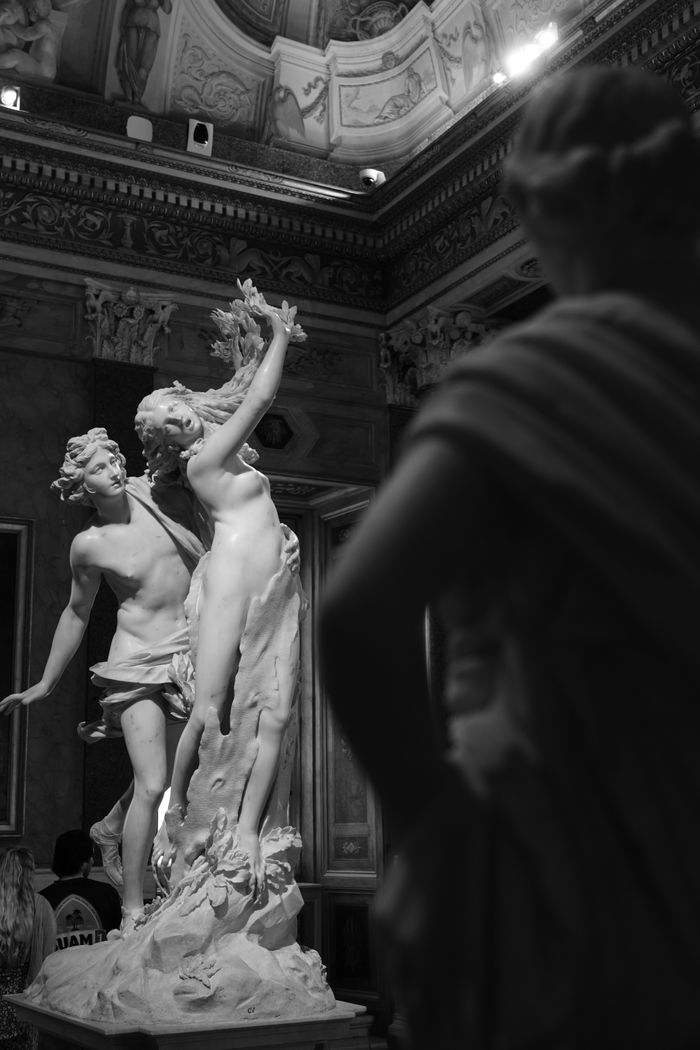 Stunning marble sculptures in a classic museum interior, artfully lit.