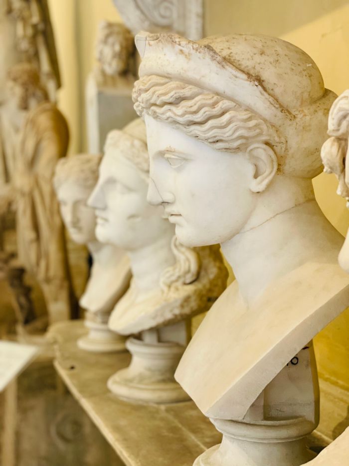 Close-up of marble busts in a row at a museum, showcasing classical art.